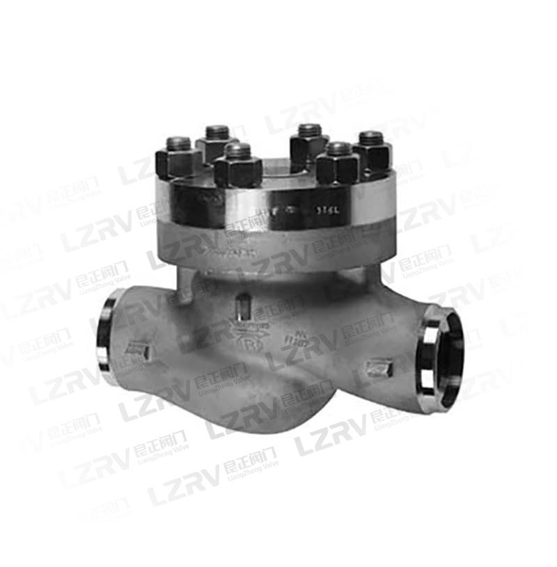 低溫止回閥 低溫止回閥