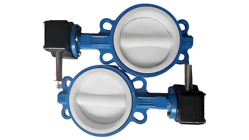 氟塑之盾：蝶閥的耐腐蝕之道